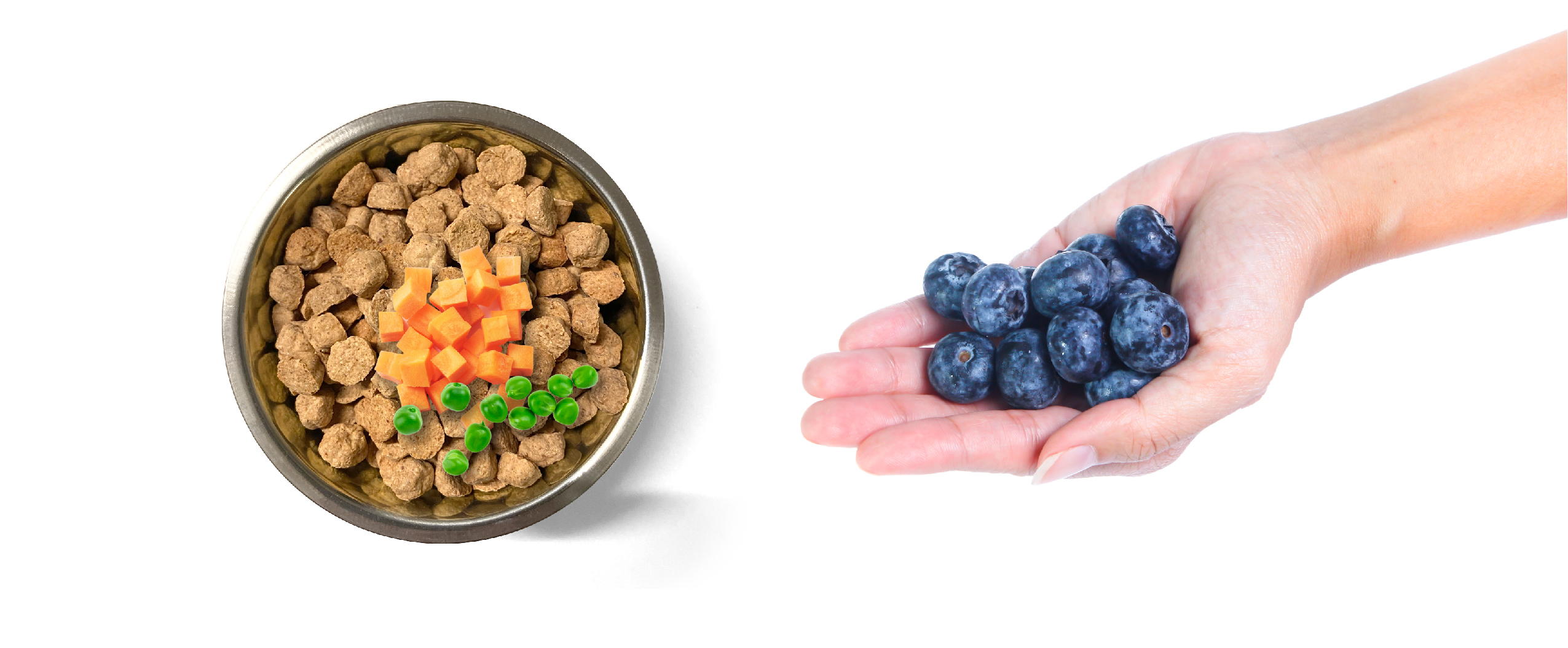 Lotus Pet Foods